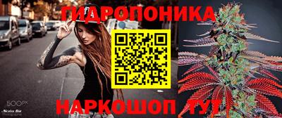амф Балахна