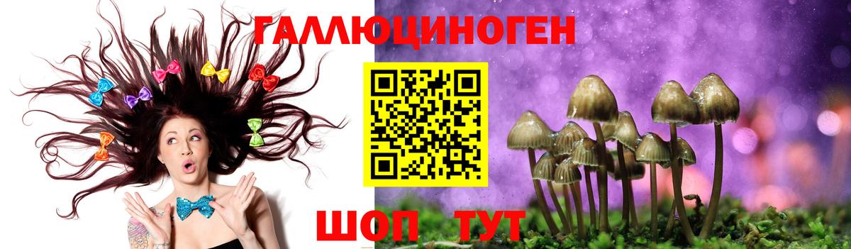 Псилоцибиновые грибы ЛСД Губкинский