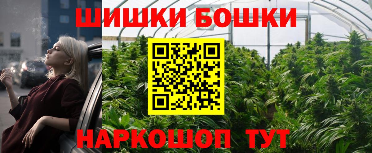 Бошки Шишки семена  МАРИХУАНА план  Губкинский  Вход с VPN 